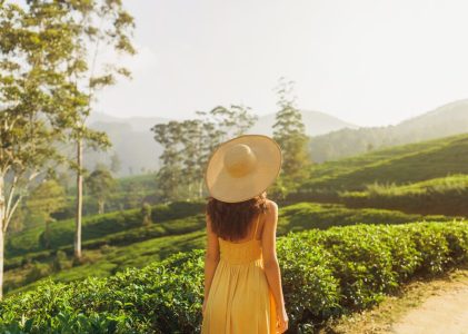 Ruines antiques, promenades en train et beauté de la côte au Sri Lanka – 8 jours