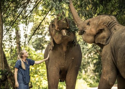 Secrets de Thaïlande et du Cambodge – 21 jours