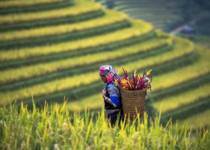 Secrets du Vietnam et de la Thaïlande – 14 jours