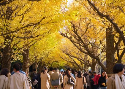 Tokyo, Kyoto, Hiroshima et Hakone : Meilleures idées d&rsquo;itinéraires