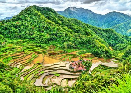 Traditions culturelles aux Philippines : Rizières en terrasses et cercueils suspendus à Luçon – 5 jours