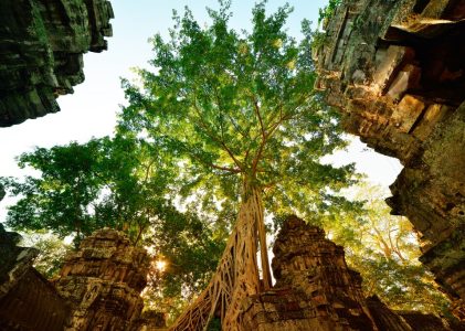 Voyage au Cambodge, des temples anciens aux villages flottants – 9 jours