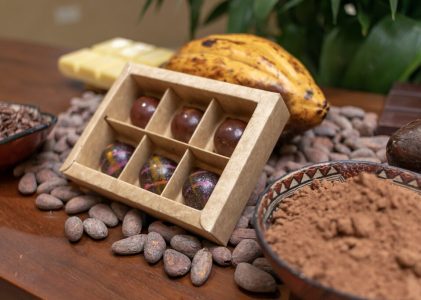 Voyage de luxe à travers la culture et la gastronomie de l&rsquo;Équateur : Quito et l&rsquo;Amazonie – 7 jours