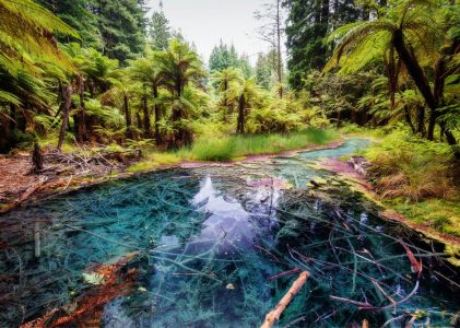 Voyage de noces sur l&rsquo;île du Nord de la Nouvelle-Zélande – 7 jours