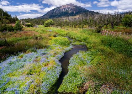 15 jours en Patagonie – 5 idées d&rsquo;itinéraires uniques