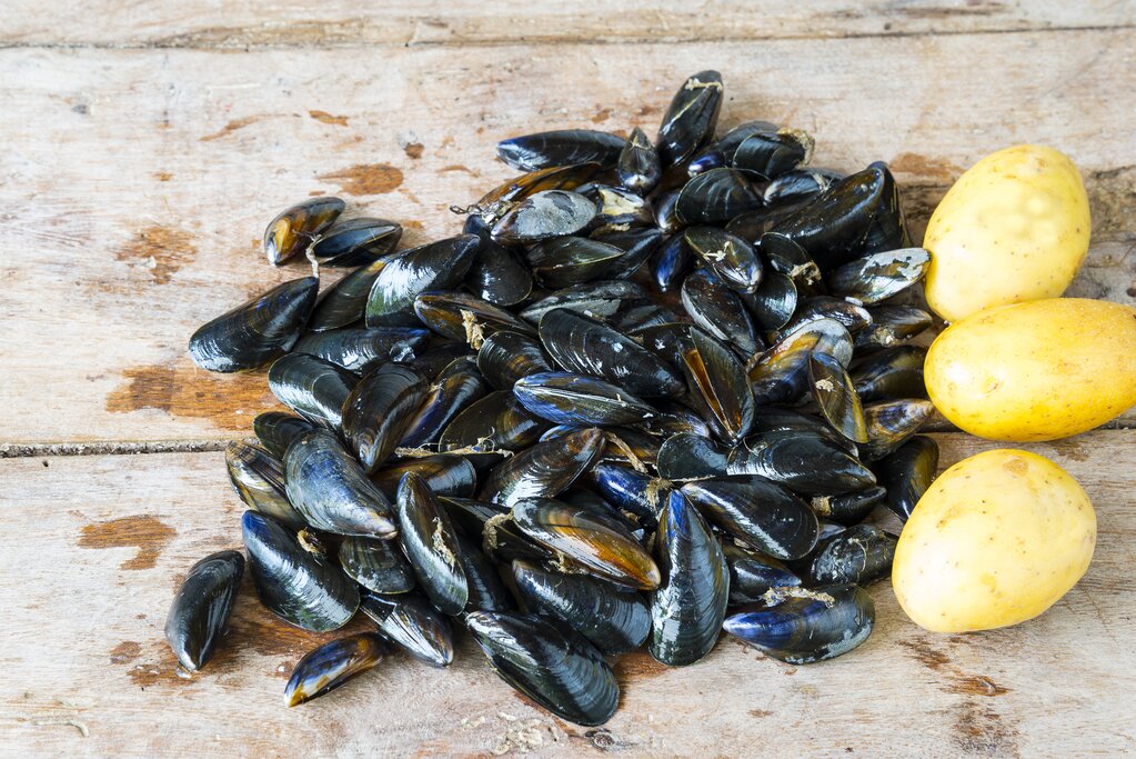 Angleterre et Pays de Galles pour les gourmets : Pubs, marchés et fruits de mer – 11 jours