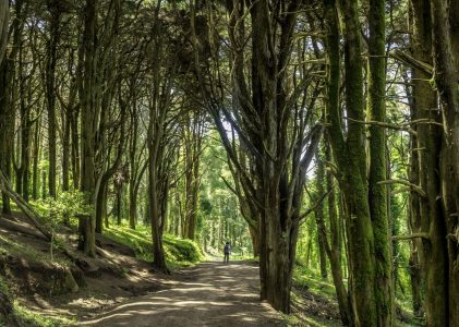 Aventure en plein air au Portugal et au Maroc – 14 jours