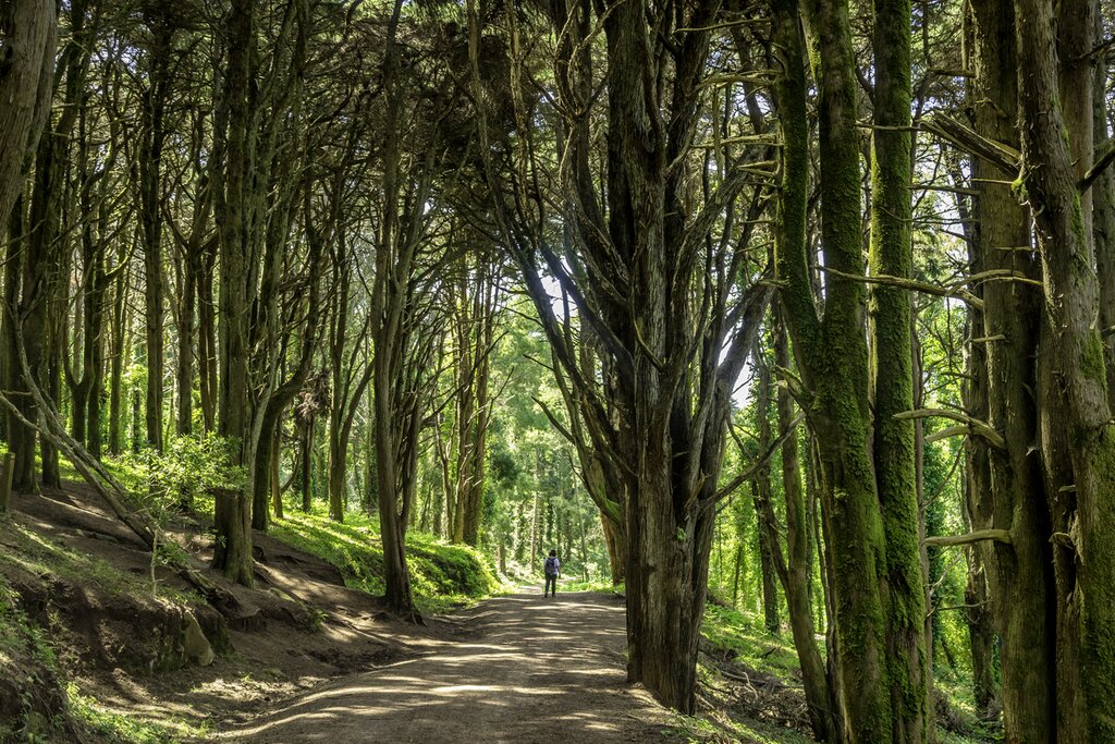 Aventure en plein air au Portugal et au Maroc - 14 jours - img