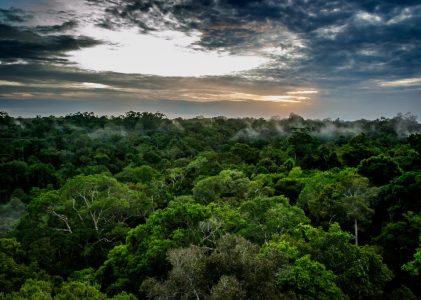 Circuit de la forêt tropicale, des plages et des villes historiques du Brésil – 13 jours