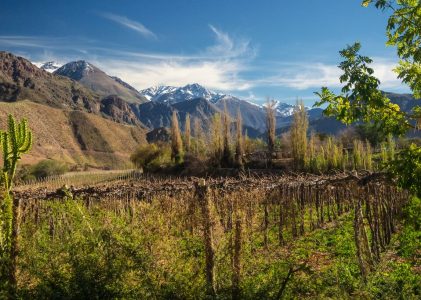 Circuit des vins, villes côtières et aventures dans le désert au Chili – 14 jours