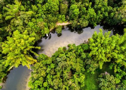 Circuit gastronomique, nature et culture en Colombie :  Amazonie, Bogota, Medellín, Carthagène et les îles Rosario – 14 jours