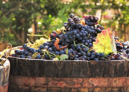 Découverte du Sud-Ouest de la France en voiture : Brugeilles, Brantôme et Bordeaux – 5 jours