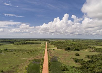 Découvrez la puissance de la nature au Brésil : Rio, Foz do Iguaçu et le nord du Pantanal – 11 jours