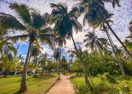 Diversité de la culture et de la nature en Colombie : De Bogota aux Caraïbes – 16 jours
