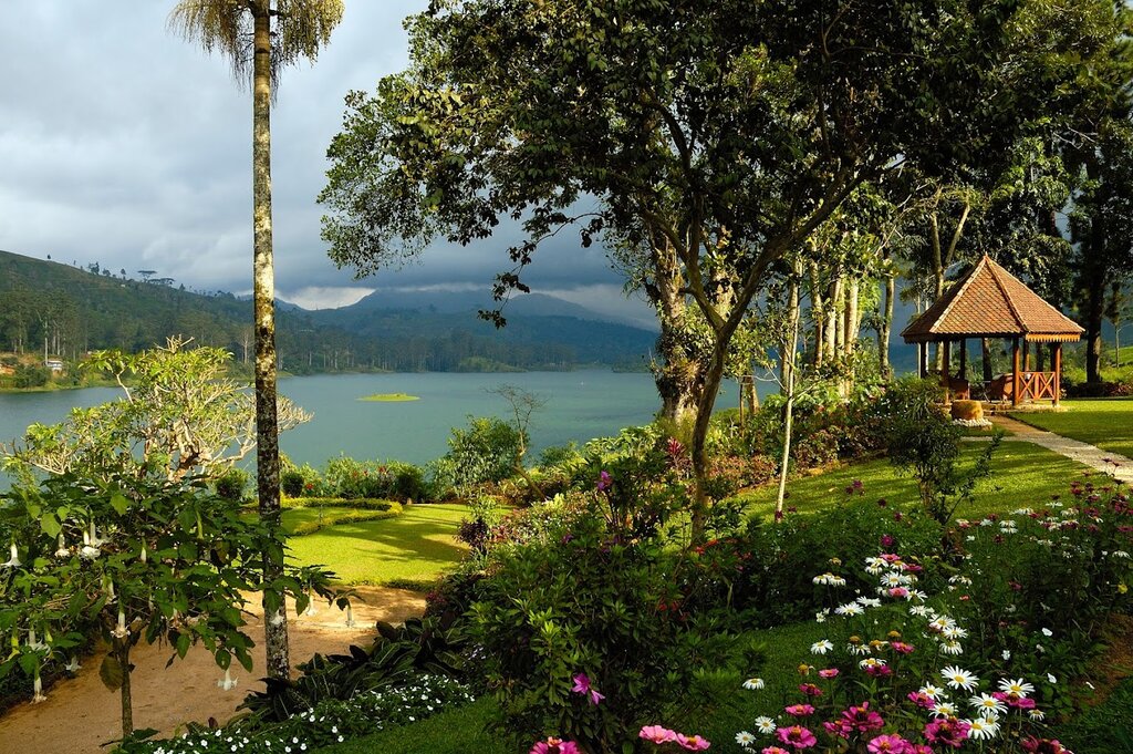 Escapade bien-être au Sri Lanka : Excursions culturelles, aventures en plein air et sites historiques - 13 jours - img