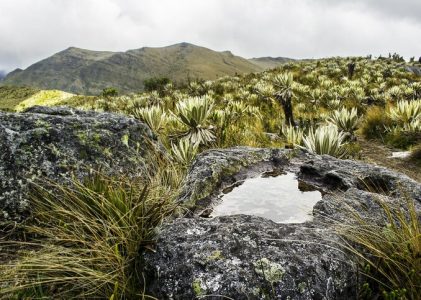 Exploration active des hauts lieux naturels et culturels de la Colombie – 16 jours
