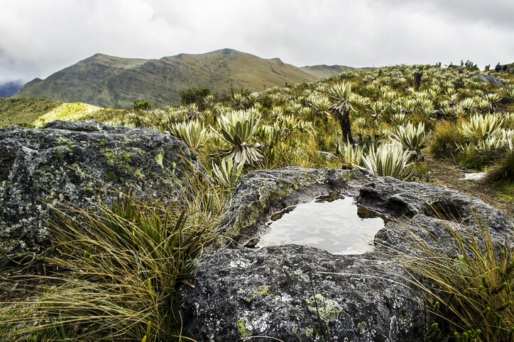 Exploration active des hauts lieux naturels et culturels de la Colombie - 16 jours - img