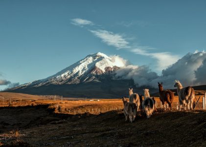 Introduction aux hauts plateaux andins de l&rsquo;Équateur : Quito, Otavalo et Cotopaxi – 5 jours