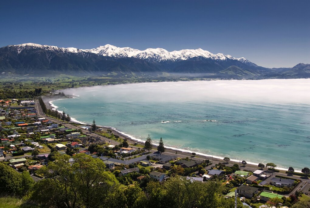 La Nouvelle-Zélande sauvage : Auckland, Tongariro, Wellington, Kaikoura, Christchurch, Mount Cook et Queenstown - 16 jours - img