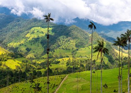 Le meilleur des villes de Colombie, de la région du café et de la côte caraïbe – 16 jours