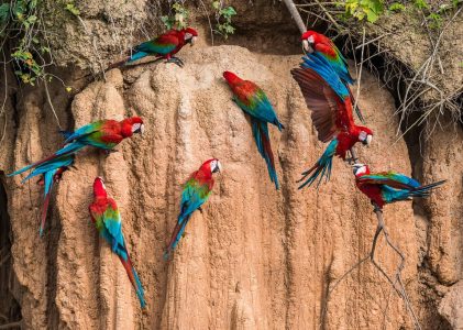 Les joyaux cachés du Pérou : Amazonie, Andes, plages et plus encore – 16 jours