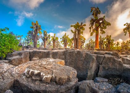 Les joyaux de l&rsquo;Équateur : Des Andes aux Galápagos – 13 jours