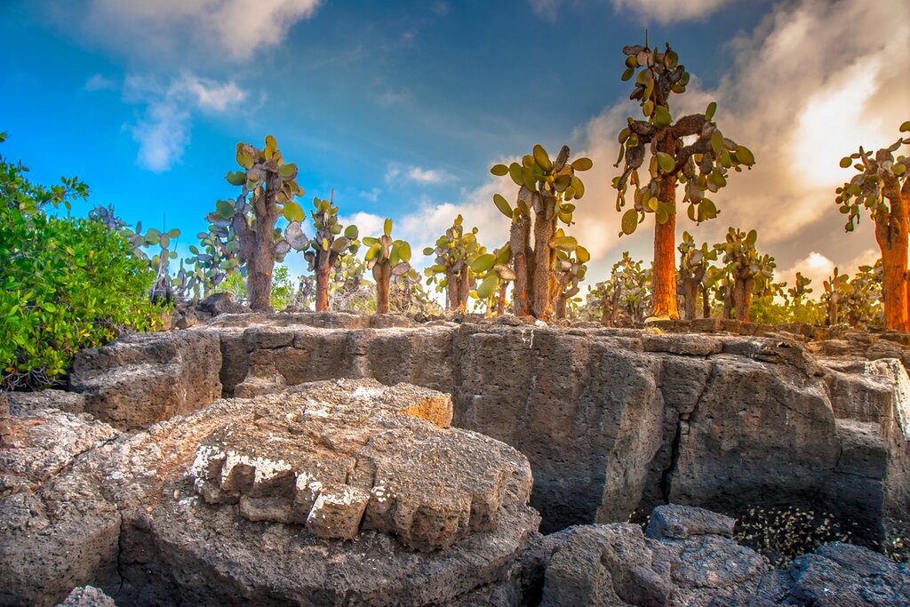 Les joyaux de l&rsquo;Équateur : Des Andes aux Galápagos – 13 jours