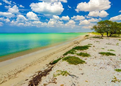 Les joyaux des Caraïbes de Colombie : Plages, jungles et culture indigène – 16 jours