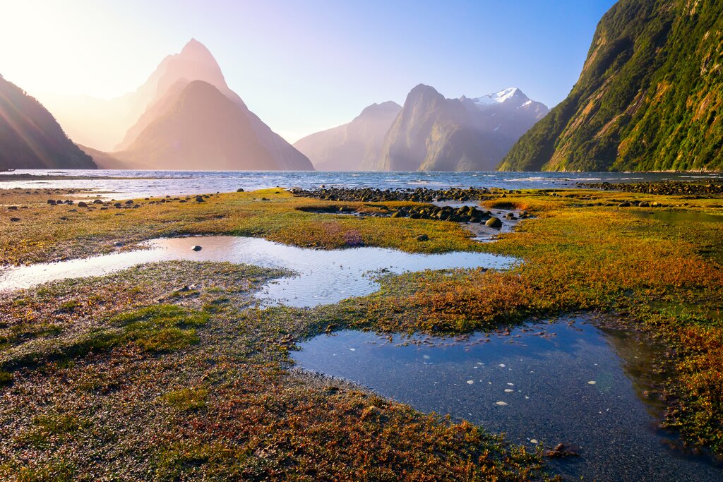 Les points forts de l'Australie et de la Nouvelle-Zélande - 15 jours - img
