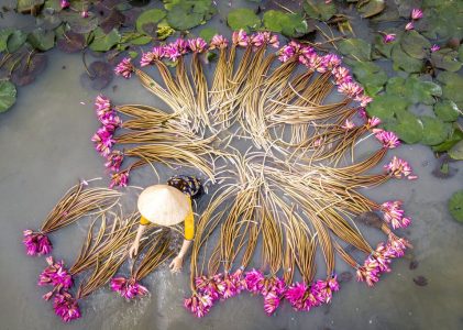 Les points forts du Vietnam de luxe : De Hanoi à Ho Chi Minh Ville – 10 jours