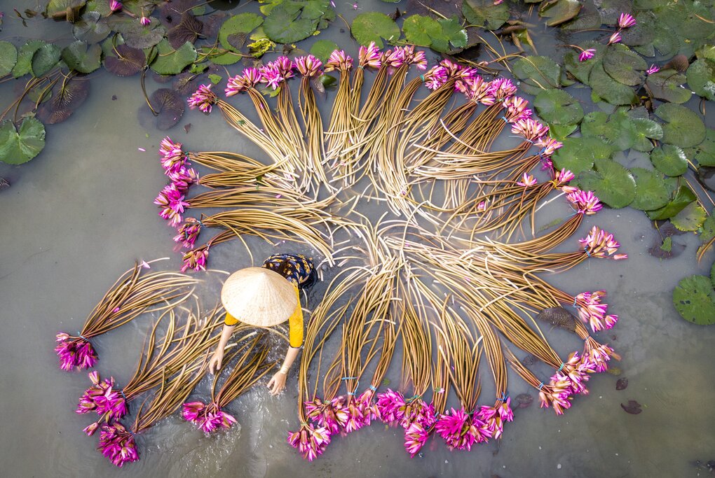 Les points forts du Vietnam de luxe : De Hanoi à Ho Chi Minh Ville - 10 jours - img