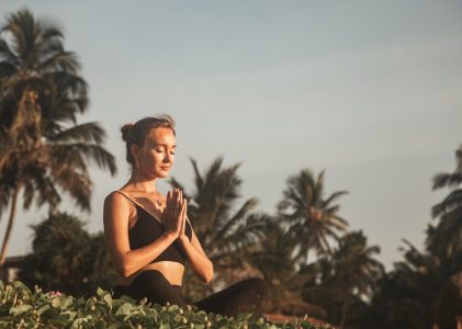 Luxe et bien-être au Sri Lanka : Excursions culturelles, art et grands espaces – 8 jours