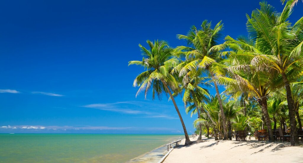 Luxury Thailand Culture & Nature : Bangkok, Chiang Mai et Khao Lak - 10 jours - img