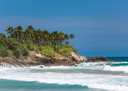 Surf, safaris et paysages dans le sud du Sri Lanka – 9 jours