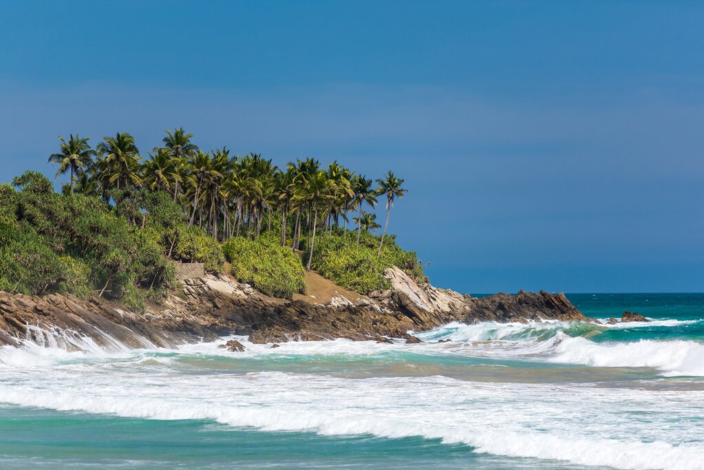 Surf, safaris et paysages dans le sud du Sri Lanka – 9 jours