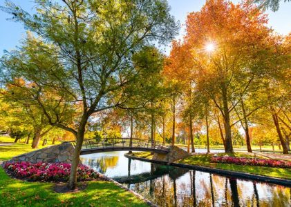 Sydney, Cairns, Uluru, Adélaïde et Kangaroo Island : Meilleures idées d&rsquo;itinéraires