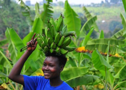 Voyage culturel en Ouganda – 10 jours