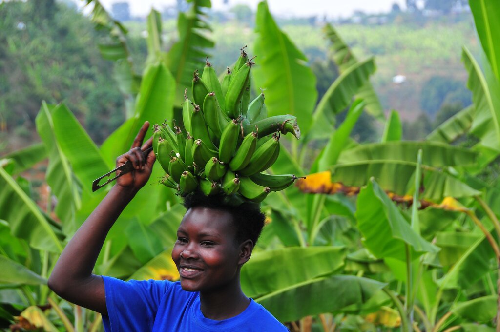 Voyage culturel en Ouganda - 10 jours - img