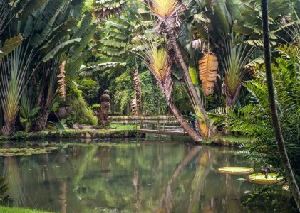 Voyage écologique au Brésil : Amazonie, chutes d&rsquo;Iguaçu et Rio de Janeiro – 11 jours