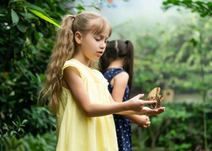 2 semaines en Équateur – 5 idées d&rsquo;itinéraires pour les familles