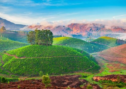 Altitude et sérénité au Sri Lanka – 9 jours