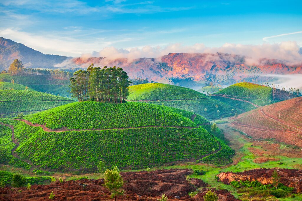 Altitude et sérénité au Sri Lanka – 9 jours