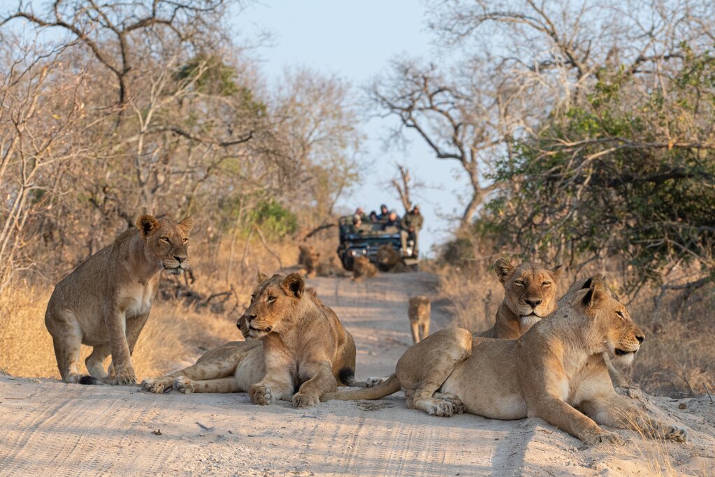 Aventure en Afrique du Sud, au Zimbabwe et au Botswana : Capetown, Kruger, Chutes Victoria et Chobe - 13 jours - img