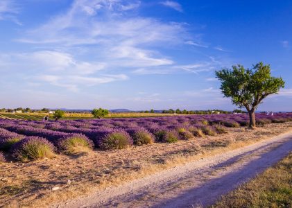 Aventure en voiture à travers la Provence : Vignobles, culture et cuisine – 10 jours