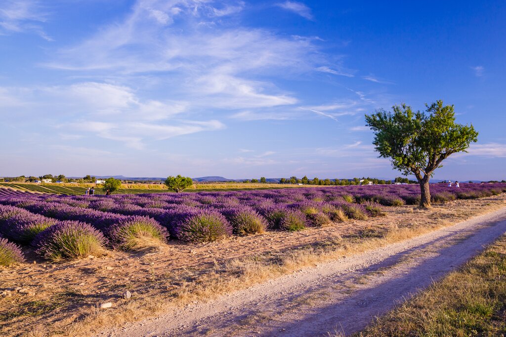 Aventure en voiture à travers la Provence : Vignobles, culture et cuisine – 10 jours