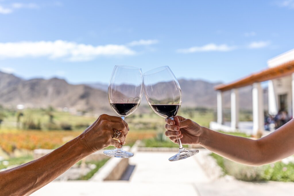 De Buenos Aires à Santiago dans le luxe : paysages, culture et vin - 14 jours - img