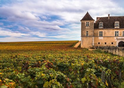 Découverte de luxe de Paris et de la Bourgogne – 7 jours