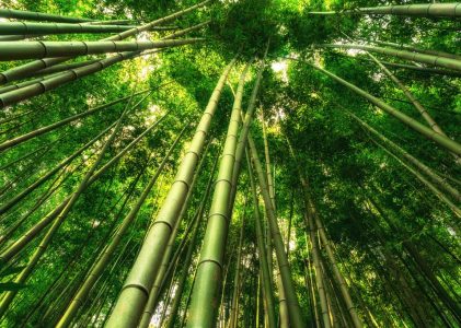 Découvrez les merveilles naturelles de la côte ouest de la Corée du Sud – 7 jours