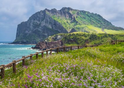 Escapade bien-être en Corée du Sud – 14 jours