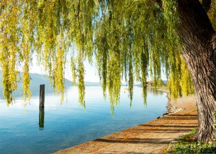 Escapade relaxante dans les villes thermales d&rsquo;Allemagne – 5 jours